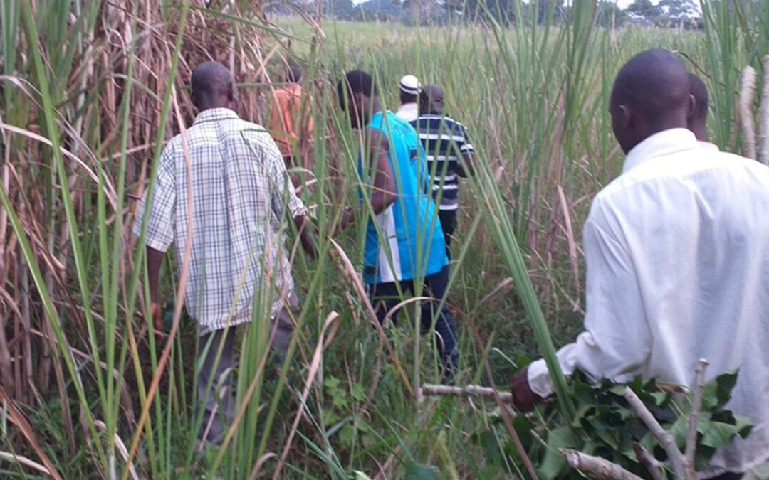 From Sugar Cane Field to Healthcare Clinic